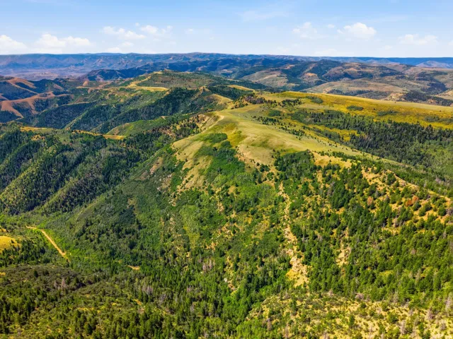 Expansive mountain landscape with diverse topography, featuring dense evergreen forests and open grassy slopes