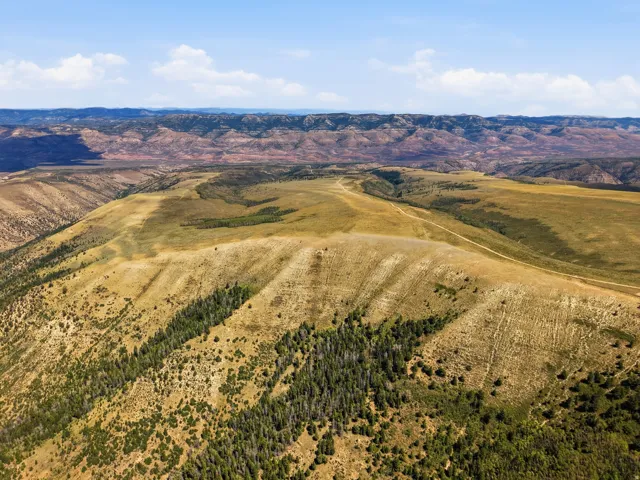 Expansive terrain featuring natural ground cover, scattered evergreen trees, and distant mountainous topography