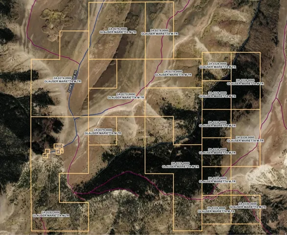 Plat map. Displaying parcel boundaries and identifying information for the property