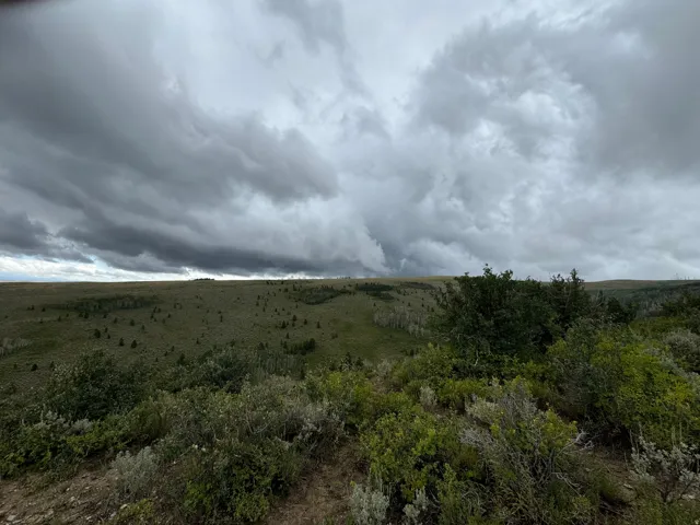 Expansive landscape with a diverse mix of low-lying brush and scattered trees