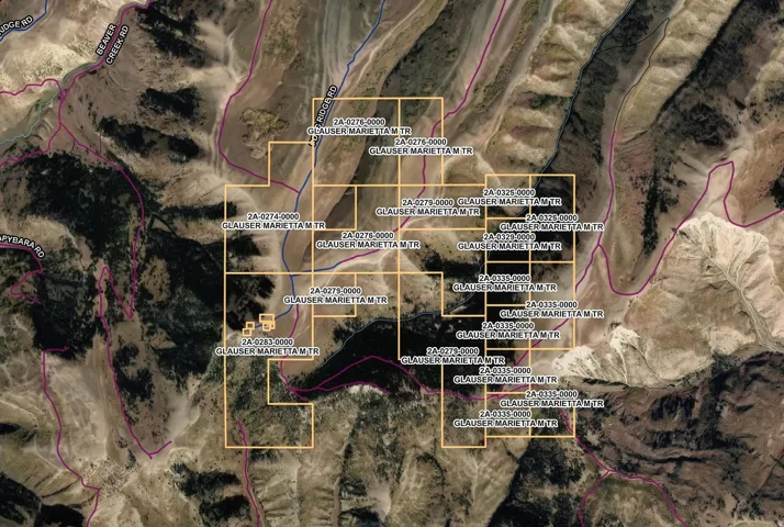Property Parcel Map. Displaying individual property boundaries and identifying information for the property