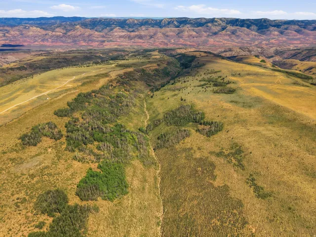 Extensive acreage featuring diverse terrain, mature trees, and natural landscapes