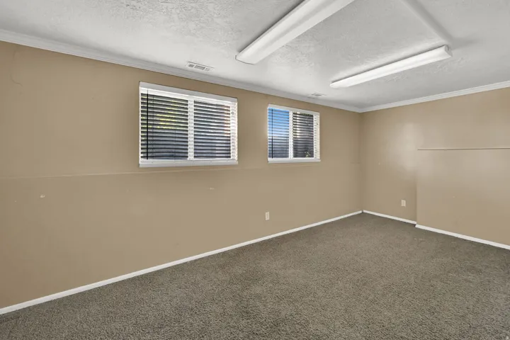 Basement Bedroom
