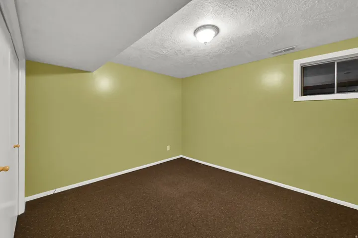 Basement Flex Room