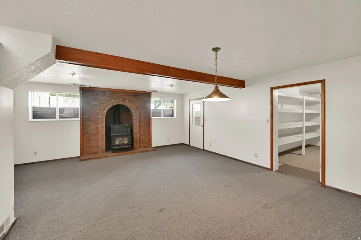 Basement Living Room