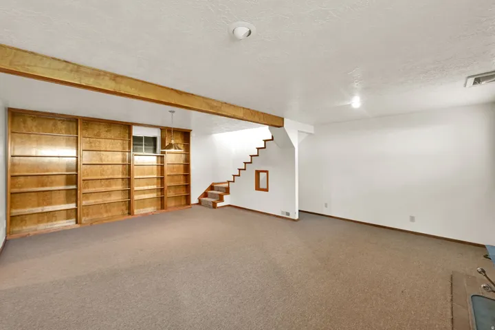 Basement Living Room