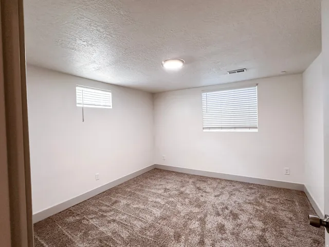 Wall-to-wall carpeting, two windows with blinds, a ceiling-mounted light fixture, and neutral wall tones