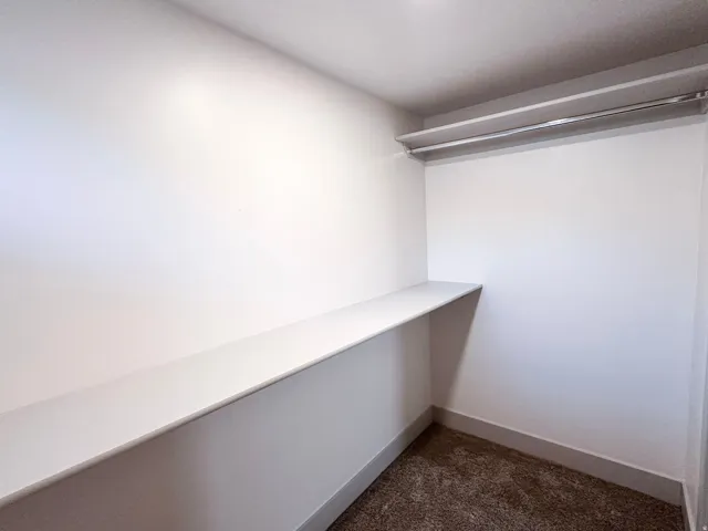 Walk-in closet featuring an integrated shelf, a hanging rod, and carpet flooring