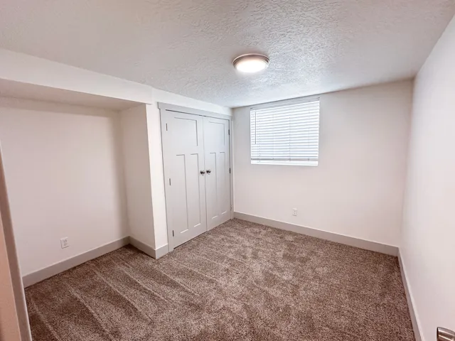 Plush carpet flooring, recessed closet with dual panel doors, single window with blinds, and flush mount ceiling light fixture