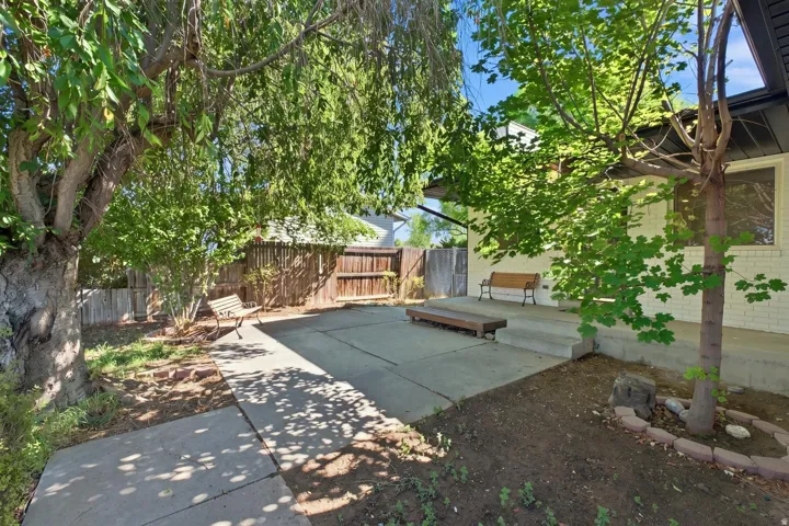 Expansive concrete patio with mature trees providing natural shading