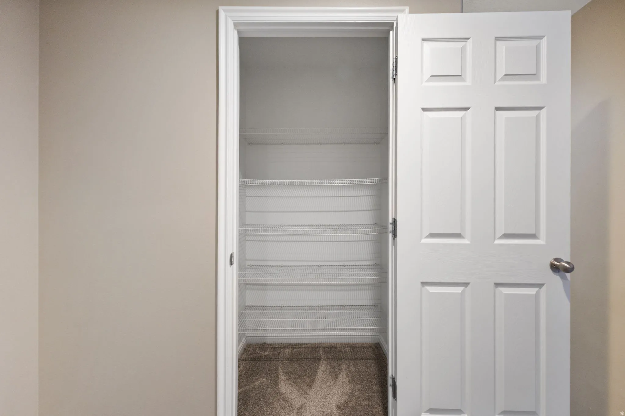 Pantry with wire shelving and carpet flooring
