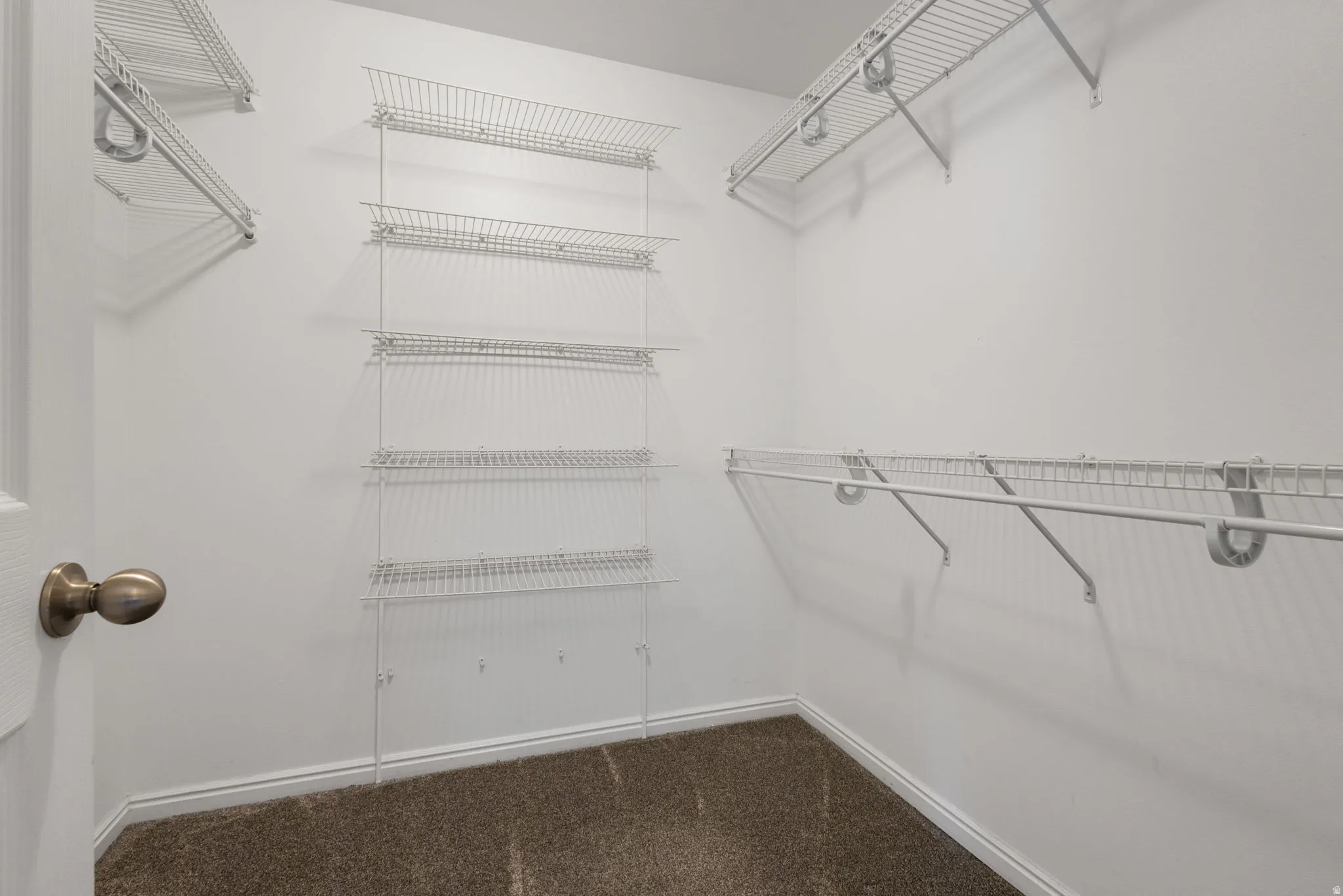 Walk-in closet featuring wire shelving, wire hanging rods, and carpet flooring