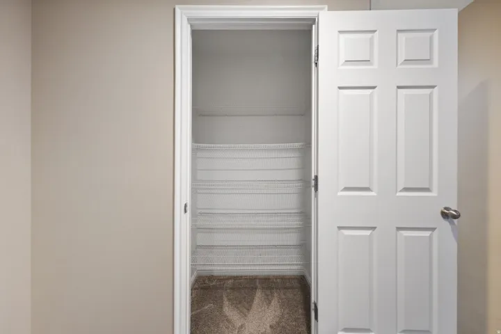 Pantry with wire shelving and carpet flooring