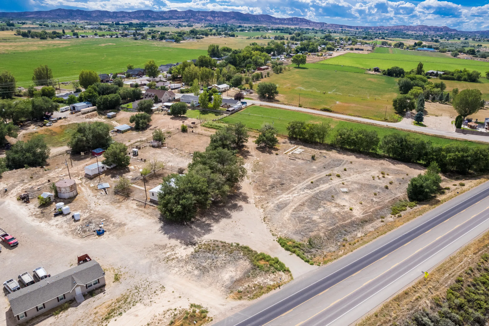 Expansive undeveloped parcel featuring established trees and direct road frontage