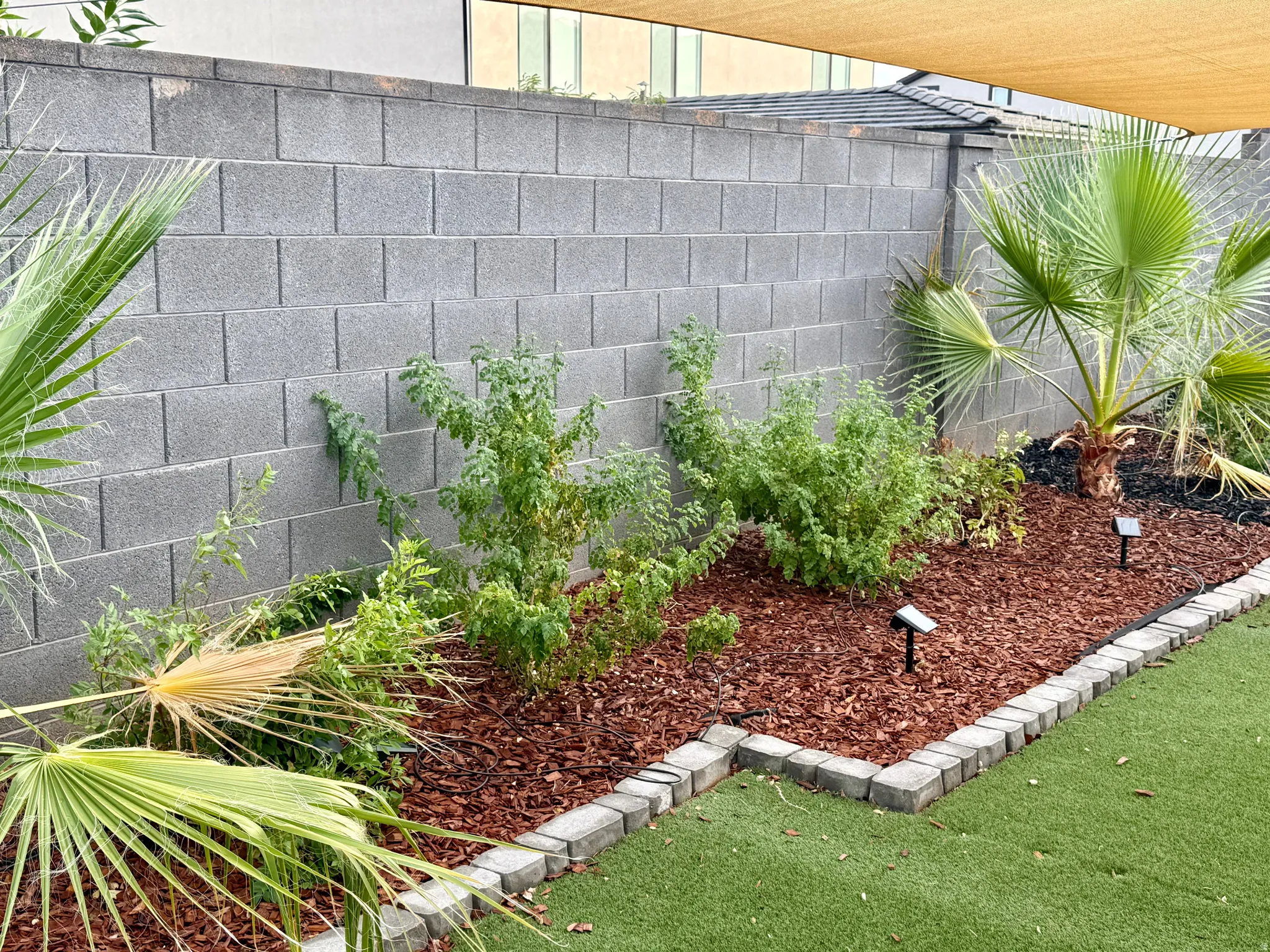 Landscaped garden bed with red mulch and mature plantings, bordered by stone pavers