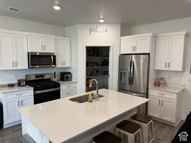 Modern kitchen featuring white cabinetry, stainless steel appliances, a center island with an undermount sink, and light-toned countertops