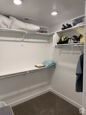 Built-in shelving, chrome hanging rods, recessed ceiling lighting, and carpet flooring