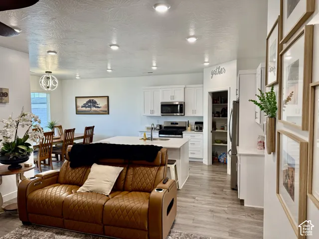 Recessed ceiling lighting, wood-finish flooring, white cabinetry, stainless steel appliances, and a built-in pantry