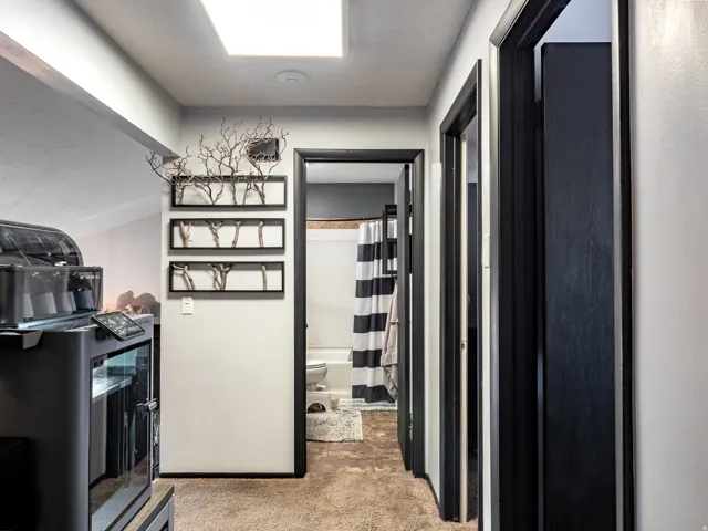 Hallway featuring dark trim, textured carpeting, and a rectangular ceiling light fixture