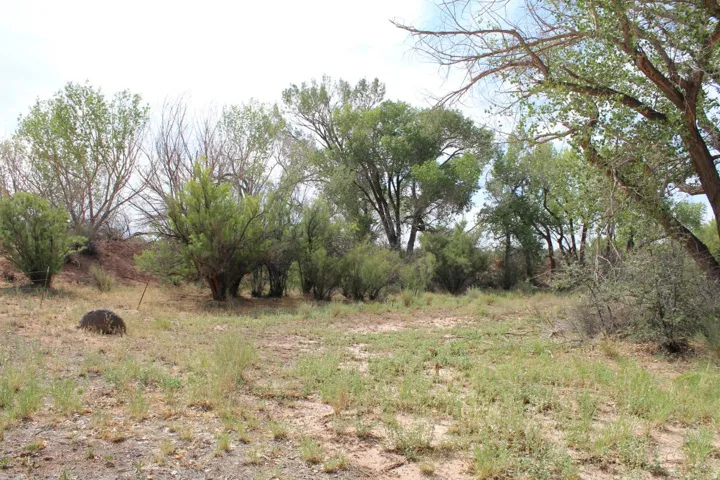 4500 S Notom Rd, Torrey, Utah 84775