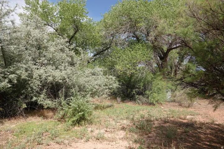 4500 S Notom Rd, Torrey, Utah 84775