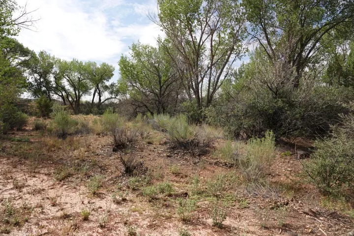 4500 S Notom Rd, Torrey, Utah 84775