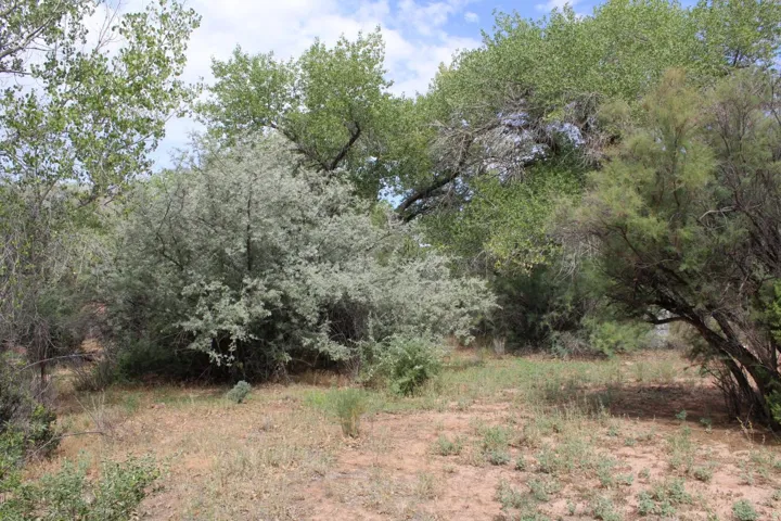 4500 S Notom Rd, Torrey, Utah 84775