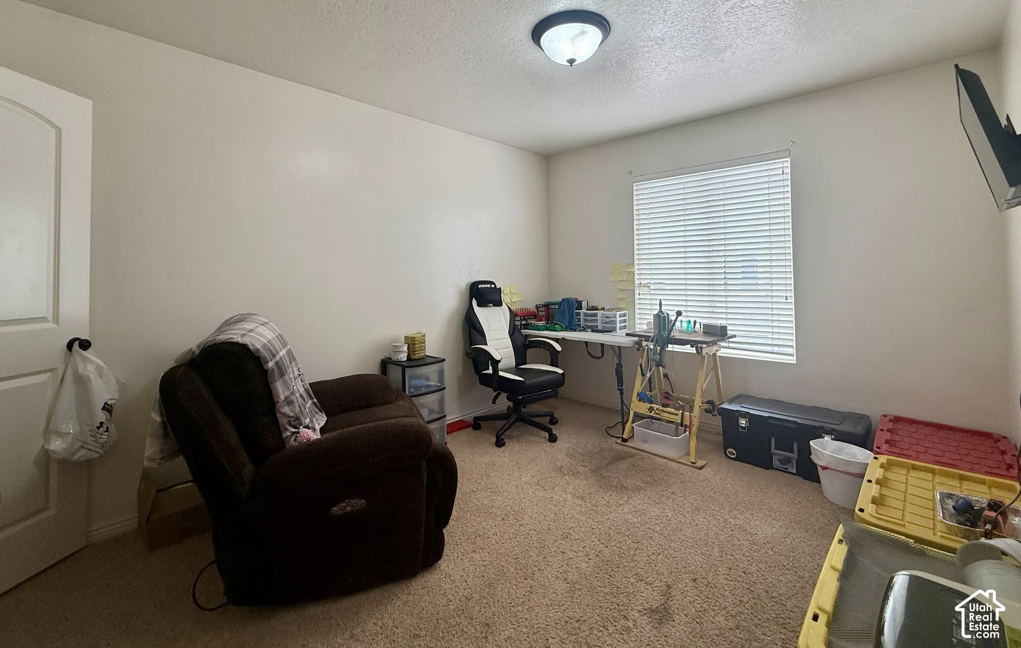 Neutral wall paint, window with blinds, overhead flush mount light fixture, carpeted flooring, and a white interior door