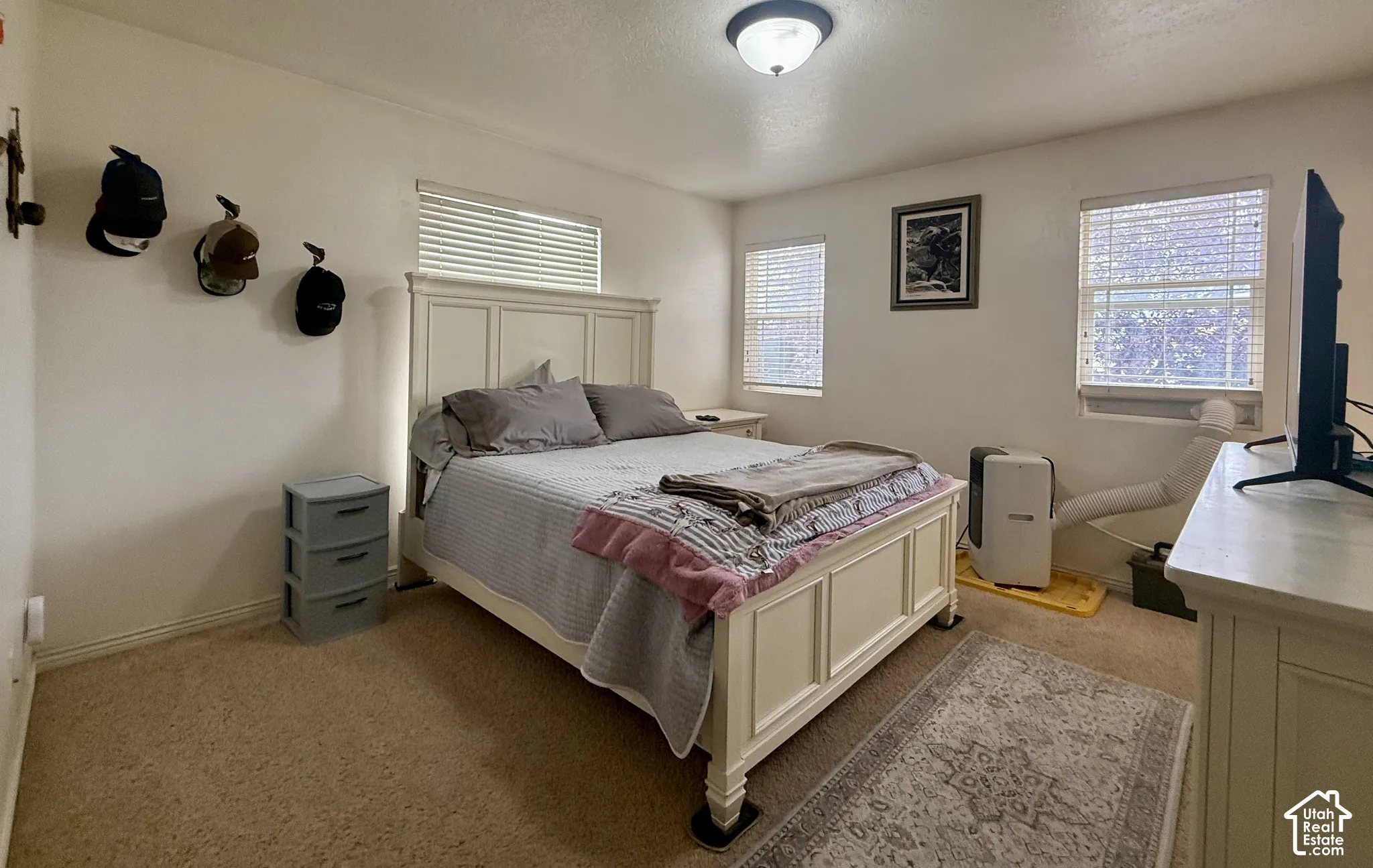Neutral wall paint, ceiling-mounted light fixture, two windows with blinds, and carpeting