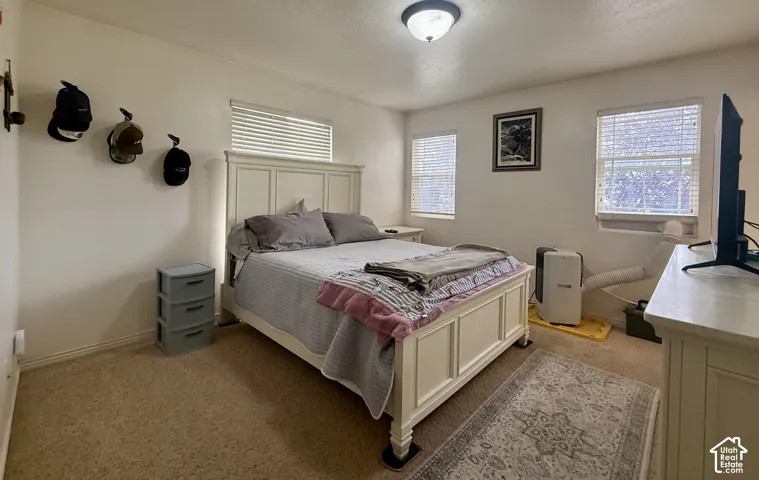 Neutral wall paint, ceiling-mounted light fixture, two windows with blinds, and carpeting