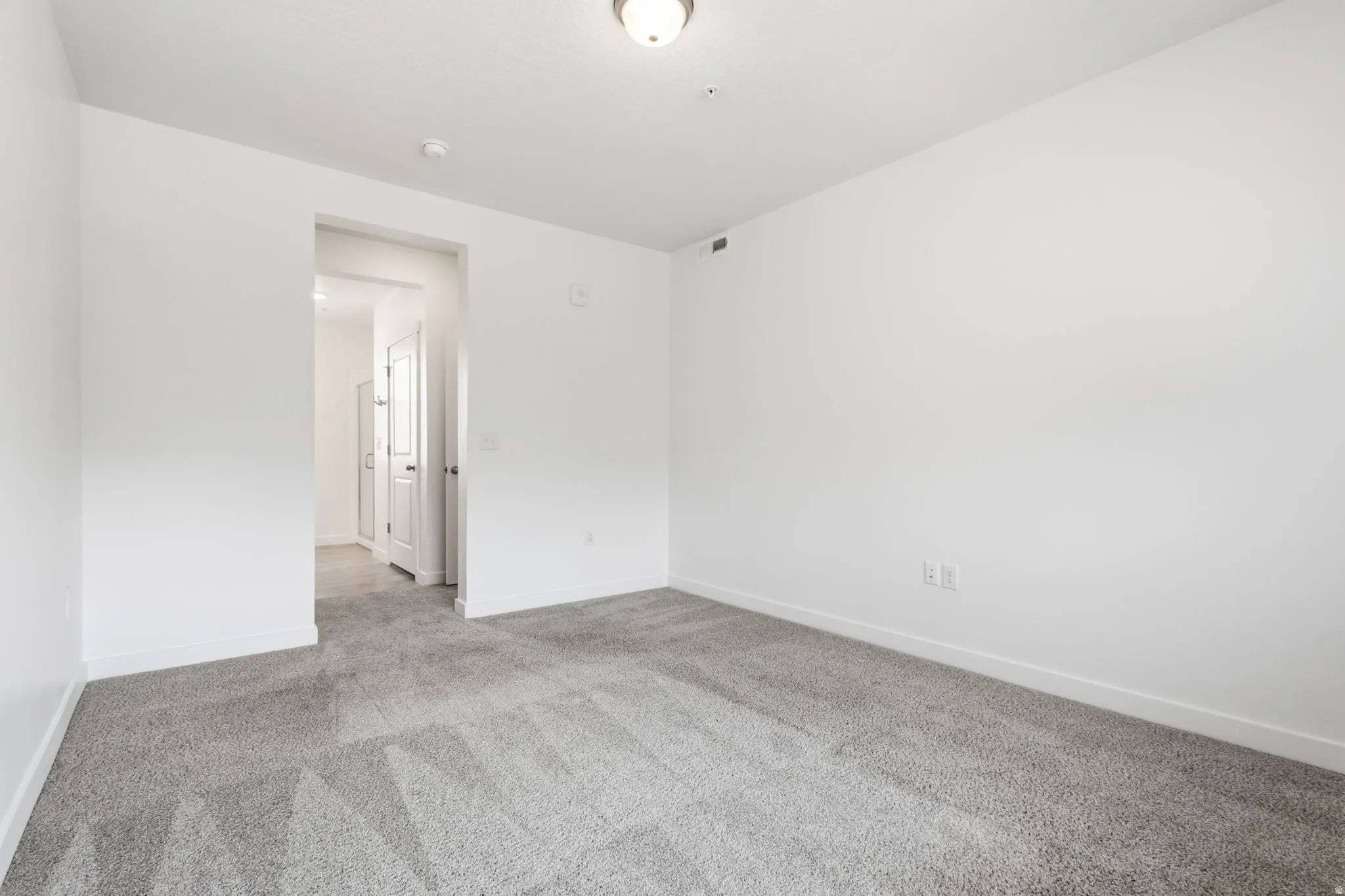 Light gray carpeted flooring