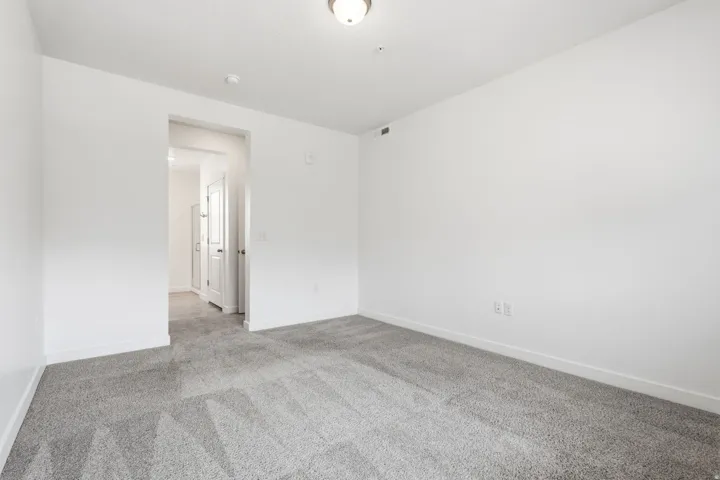 Light gray carpeted flooring