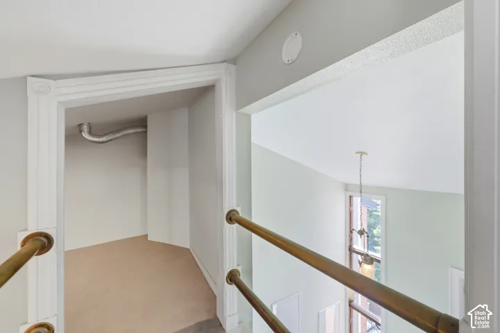 Carpeted storage space with white trim