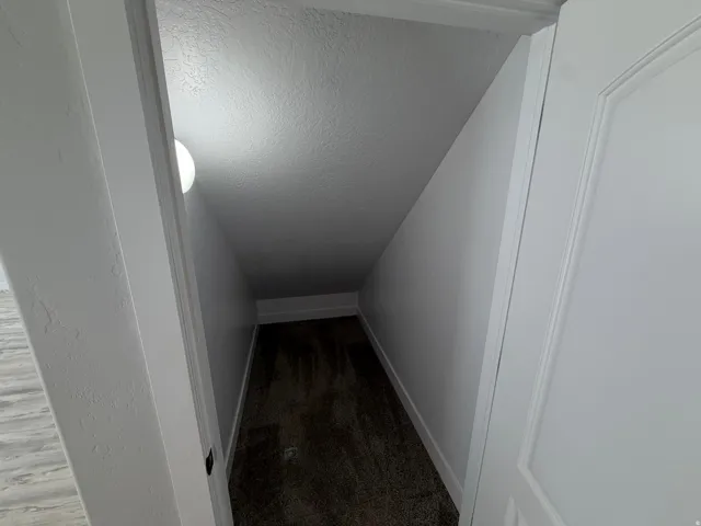 Carpeted storage space with sloped ceiling, light-colored walls, and a built-in light fixture