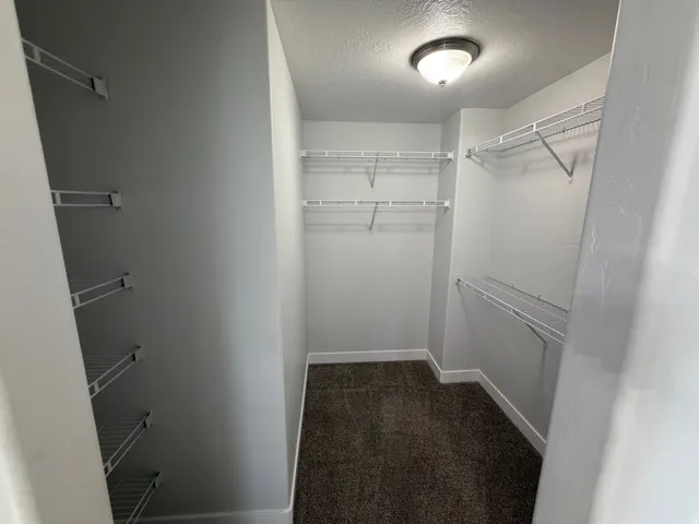 Walk-in closet featuring wire shelving, wall-to-wall carpeting, and a flush-mount ceiling light fixture