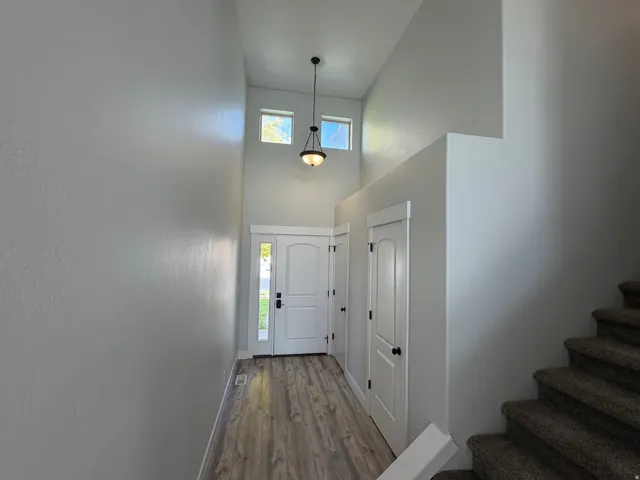 Two-story entryway featuring high ceilings, wood-finish flooring, an arched front door with a sidelight, and a pendant light fixture