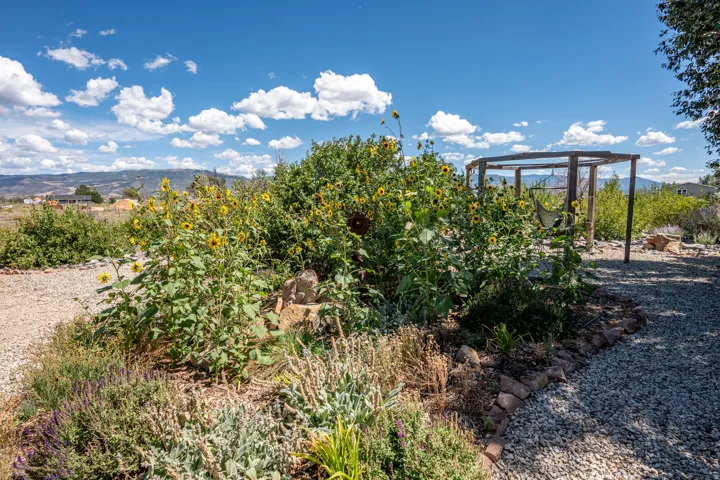 Gravel pathways with stone edging