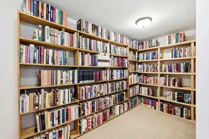 Built-in wood shelving units, wall-to-wall carpeting, and a flush mount ceiling light