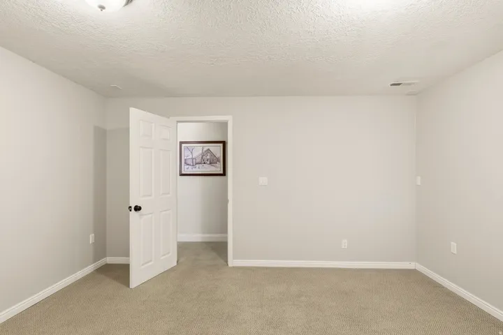 Neutral wall paint, carpeted flooring, white trim, interior door with black hardware, and overhead lighting