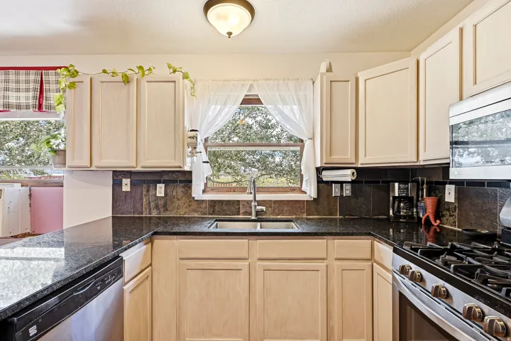 Kitchen featuring light-toned cabinetry, dark countertops, dark tile backsplash, a double basin sink, and stainless steel appliances