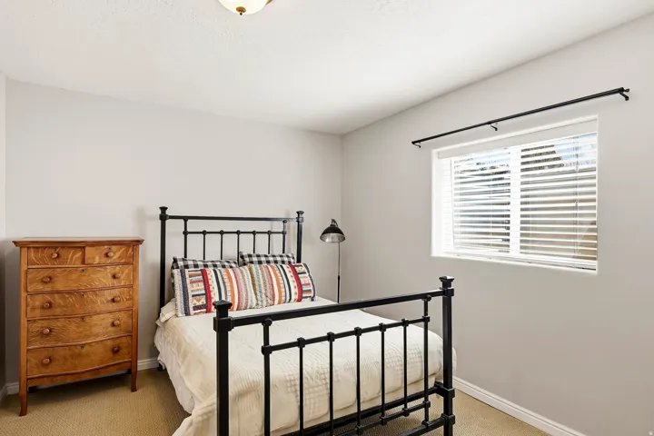 Neutral wall paint, window with blinds, overhead light fixture, and carpeted flooring