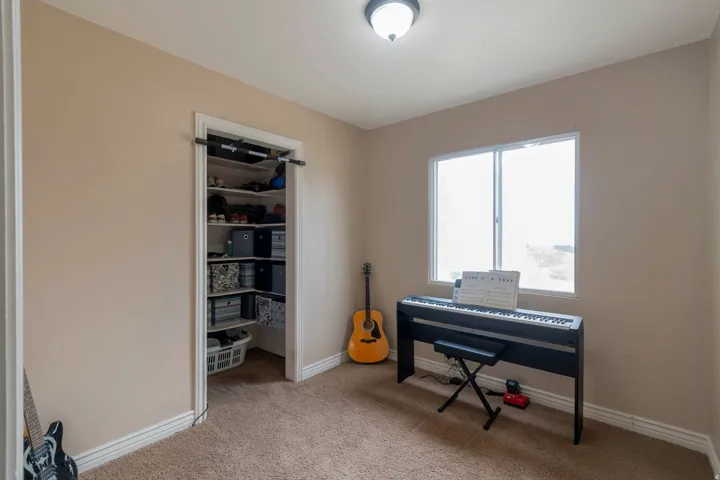 Carpeted room featuring a white-framed window, flush-mount ceiling light, and corner closet with shelving