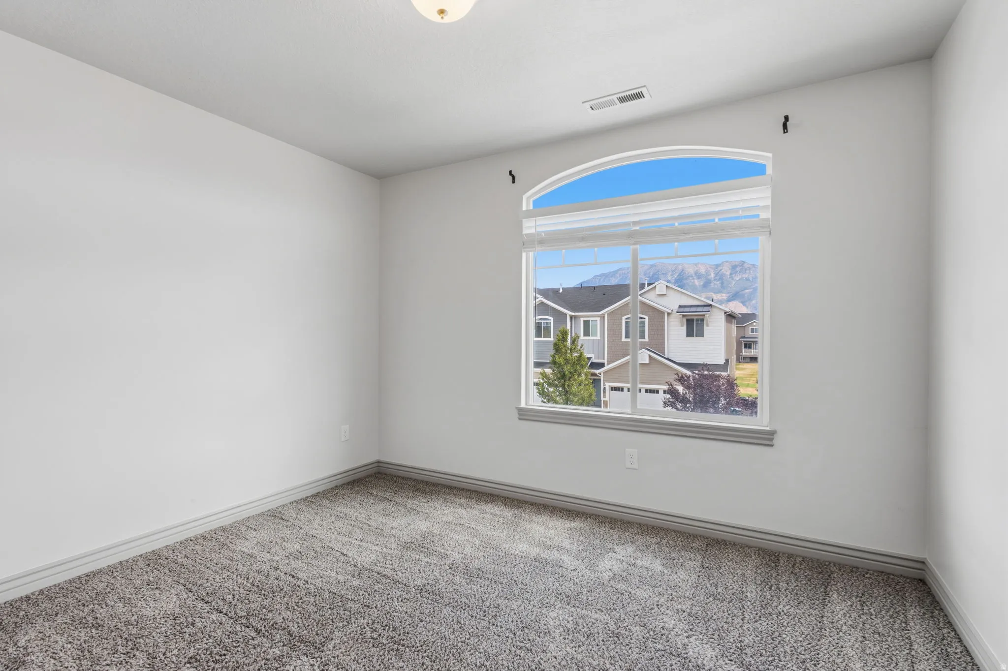Arch-top window with blinds, carpet flooring, and a flush mount ceiling light