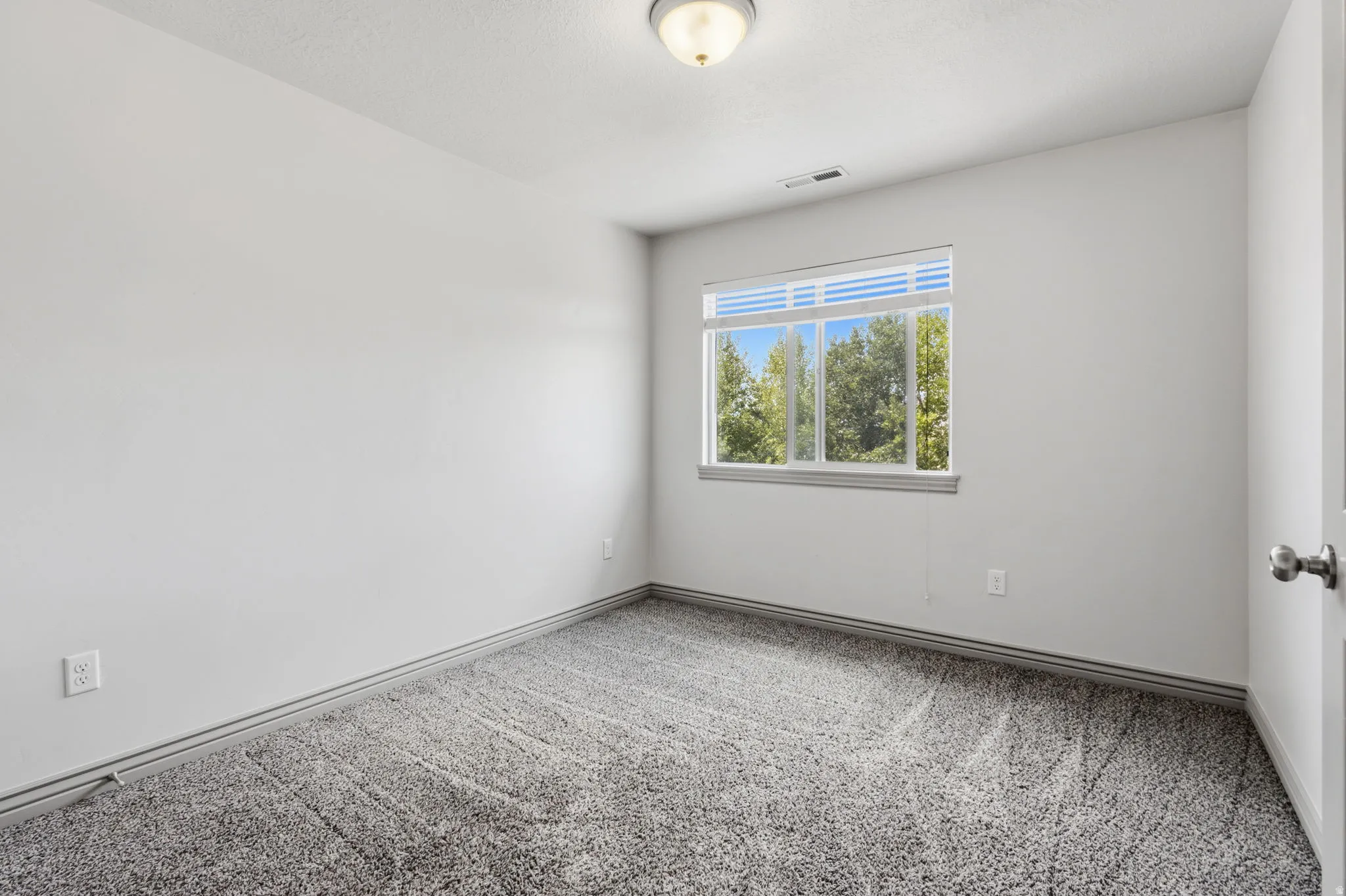 Gray carpeted flooring, white painted walls, a window with exterior tree scenery, a flush mount ceiling light fixture, and a white door with a round doorknob