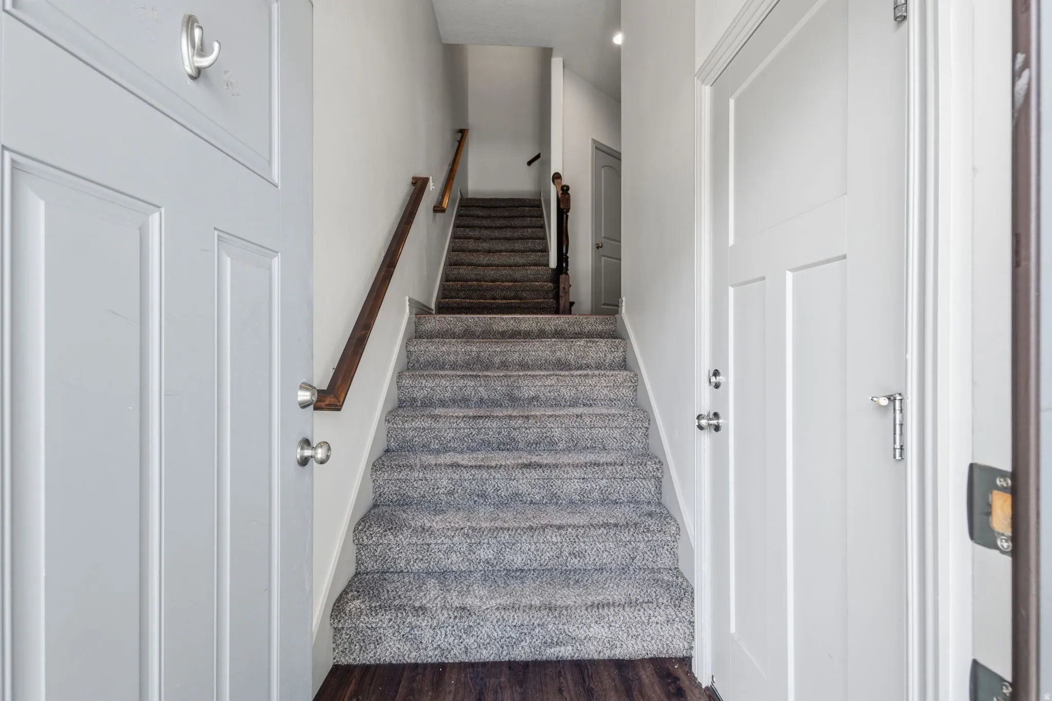 Carpeted staircase with wood handrails, flanked by white panel doors, and dark wood-finish flooring