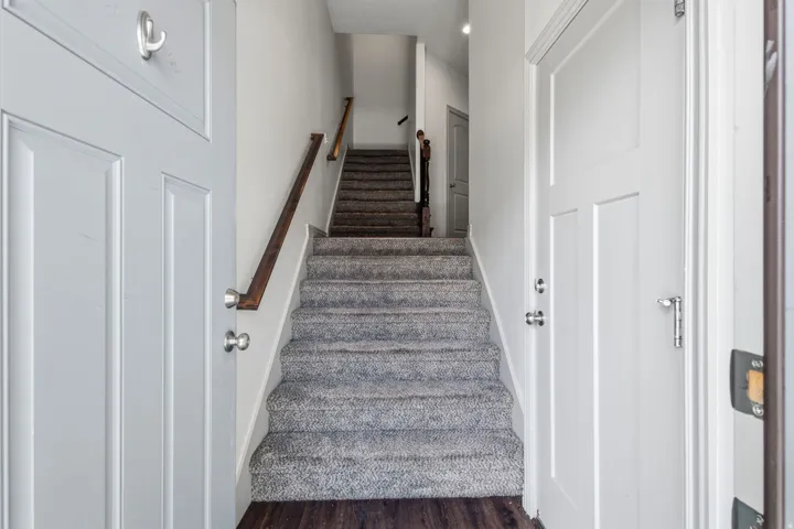 Carpeted staircase with wood handrails, flanked by white panel doors, and dark wood-finish flooring