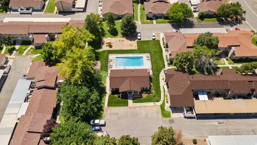 Community swimming pool with surrounding lounge area, adjacent green space, and mature trees