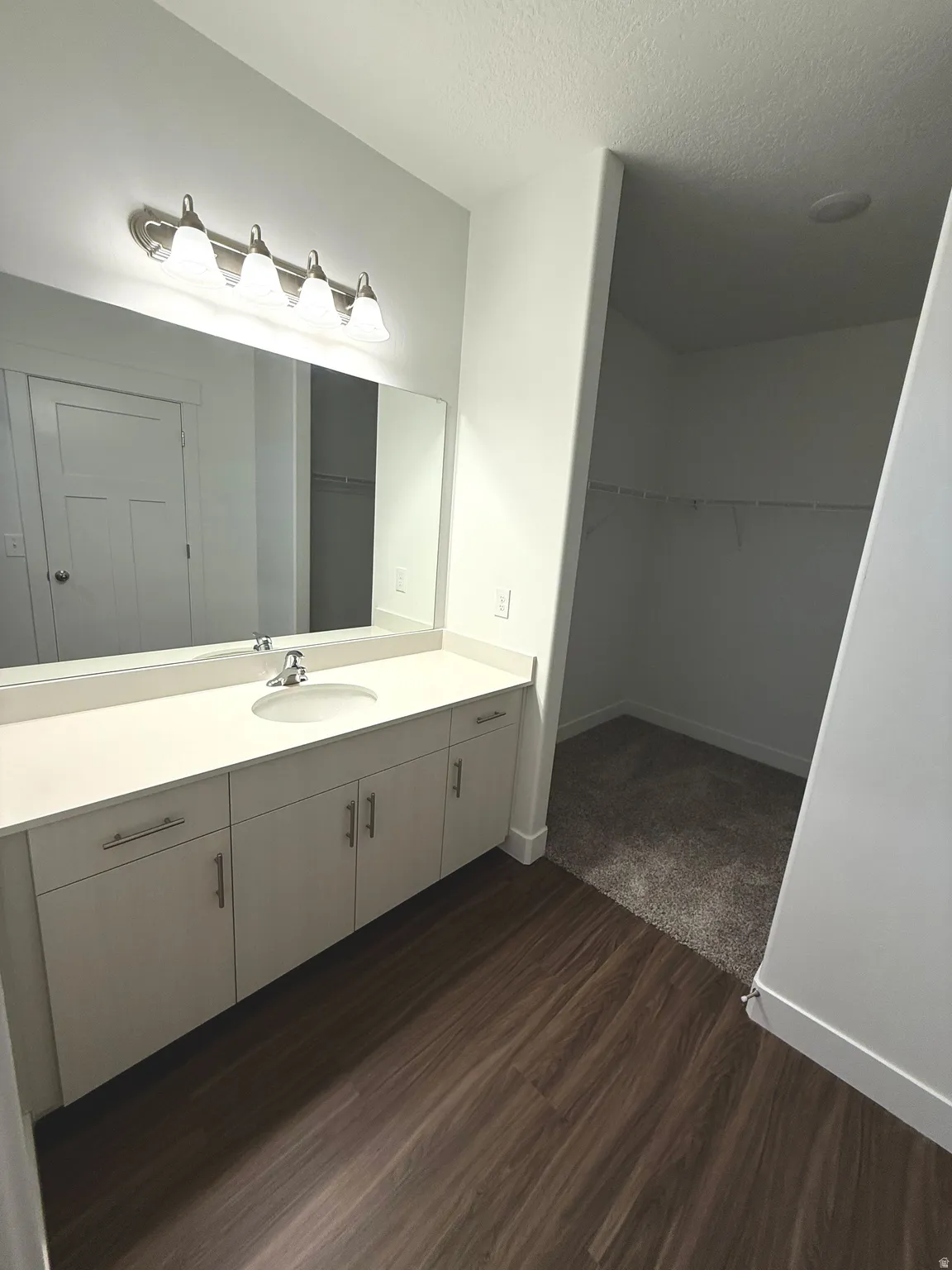 Vanity with a single basin, wood-finish flooring, and a walk-in closet with shelving