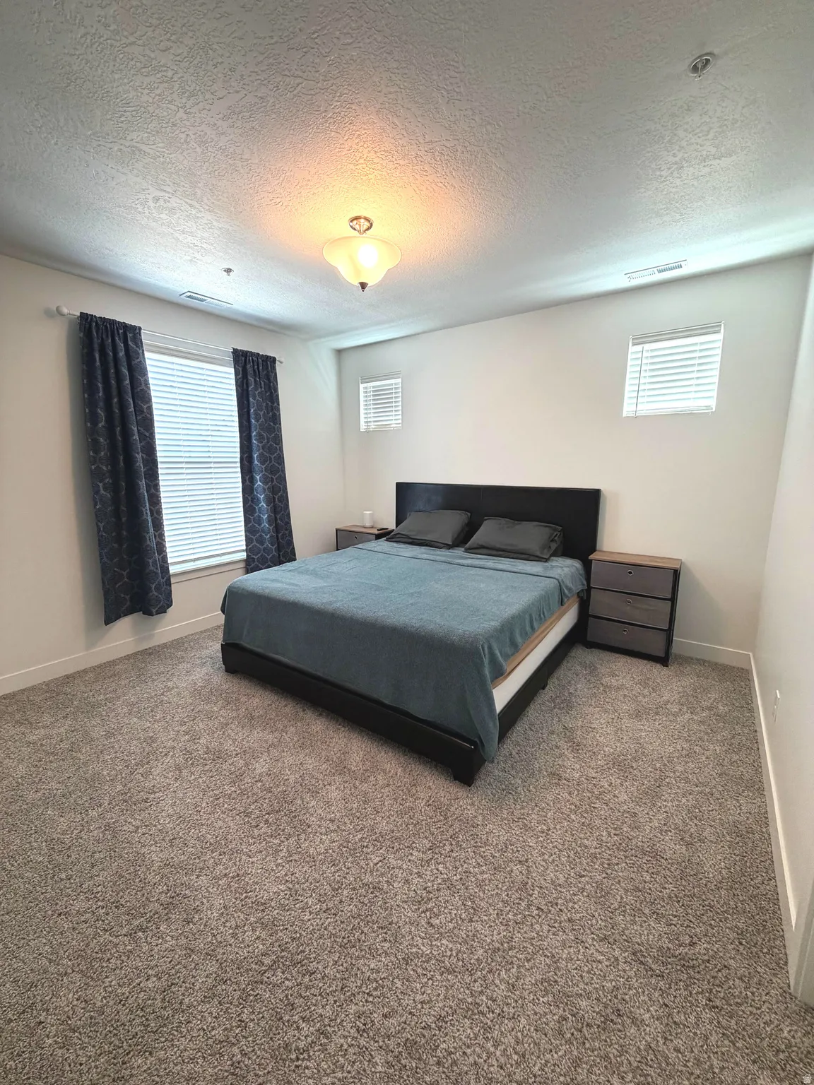 Expansive room with neutral carpeting, multiple windows for natural light, and a ceiling-mounted light fixture