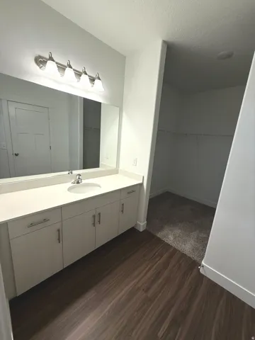 Vanity with a single basin, wood-finish flooring, and a walk-in closet with shelving
